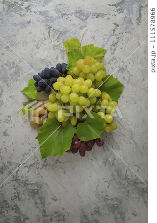 The grapes are harvested for the production of wine. Background from grapes. Grape harvest. 111578966
