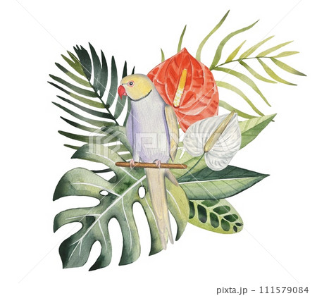Hand drawn parrot with tropical leaves,flowers watercolor Hand drawn parrot with tropical leaves,flowers watercolor 111579084
