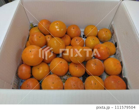 我が家の畑で取れました。とても甘い、完熟に近い富有がきです。 111579504