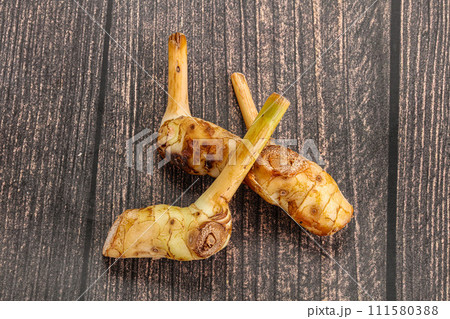 Raw galangal root seasonong aroma 111580388