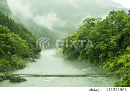 櫛田川 浮沈橋と川の風景 霧に包まれる川 新緑と川 三重県の観光スポット 下剋上球児ドラマロケ地 櫛田川 浮沈橋と川の風景 霧に包まれる川 新緑と川 三重県の観光スポット 下剋上球児ドラマロケ地 111582968