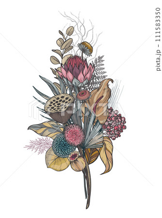 Vector composition of dried flowers, leaves and branches. Hydrangea, palm leaves, eucalyptus and other plants in beautiful bouquet. Vector composition of dried flowers, leaves and branches. Hydrangea, palm leaves, eucalyptus and other plants in beautiful bouquet. 111583350