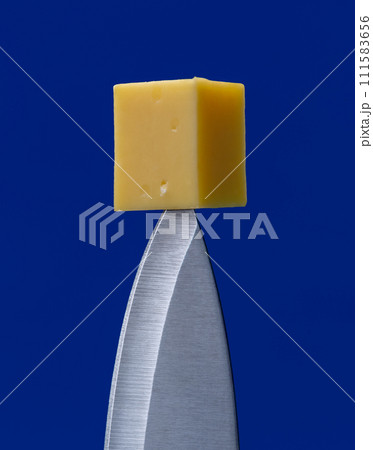 Cheese on tip of knife, close up, minimalist on a blue background Cheese on tip of knife, close up, minimalist on a blue background 111583656