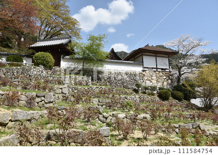 春の長谷寺　月輪院　奈良県桜井市初瀬 111584754