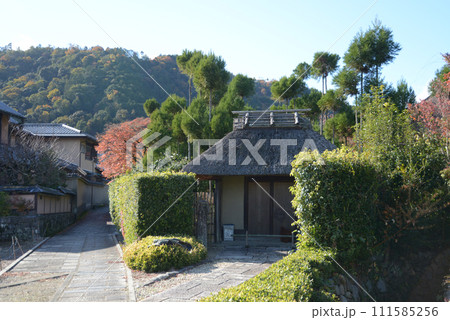秋の嵯峨野　茅葺の民家　京都市右京区 111585256
