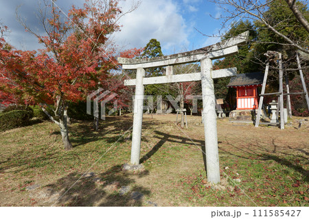 秋の大覚寺　大沢池の天神島の鳥居　京都市右京区嵯峨 111585427