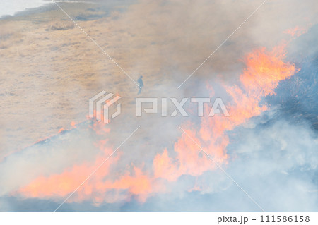 草千里の野焼き（熊本県阿蘇） 111586158