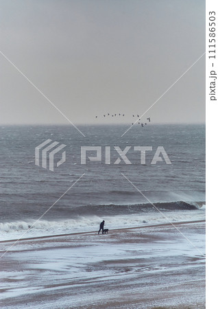 Man walking with dog at stormy sea in winter 111586503