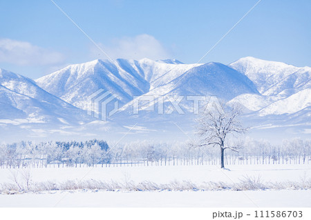 青空と雪原 青空と雪原 111586703