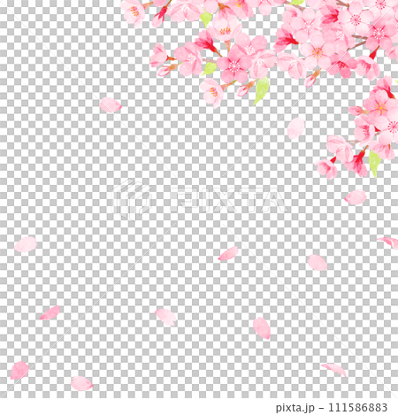 Hand-painted watercolor cherry blossom frame 111586883