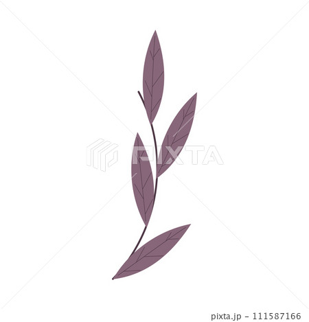 Leaves branch Flat design Vector 111587166