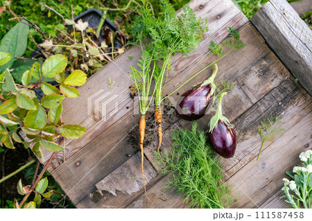 A variety of vegetables displayed on a wooden table 111587458