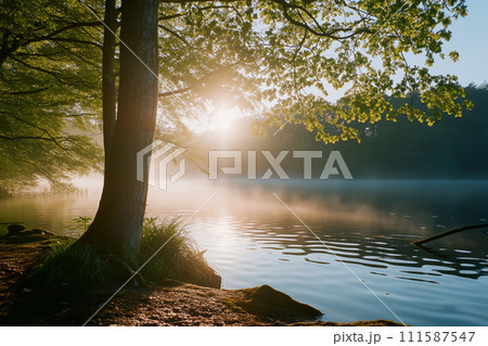The warm glow of sunrise filters through the branches of a tree beside a serene, mist-covered lake, creating a tranquil and picturesque scene. The warm glow of sunrise filters through the branches of a tree beside a serene, mist-covered lake, creating a tranquil and picturesque scene. 111587547