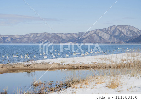 福島 冬の猪苗代湖(青松浜) 福島 冬の猪苗代湖(青松浜) 111588150