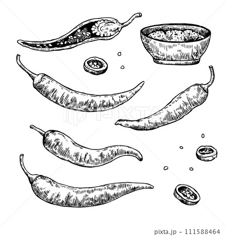 Set of hand drawn chili pepper with various elements. Vector illustration isolated on white background in engraving style. 111588464