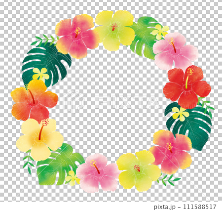 水彩のハイビスカスの輪のフレーム 111588517