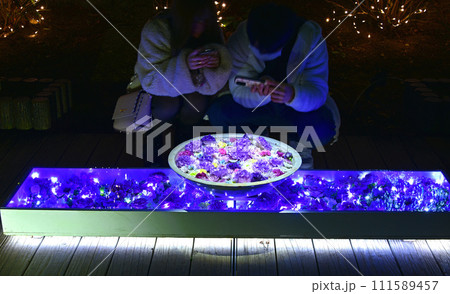 あしかがフラワーパーク　光の花手水 111589457