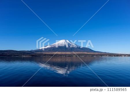 山中湖の湖畔から見た富士山の絶景 111589565
