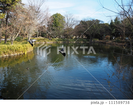 妙正寺公園 妙正寺公園 111589738