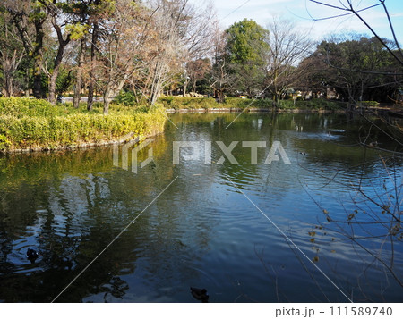 妙正寺公園 妙正寺公園 111589740