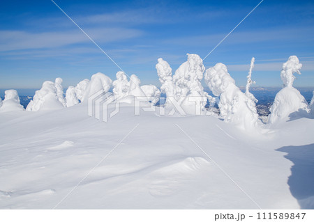 遠く岩木山が望める快晴の森吉山冬景色　秋田県 111589847