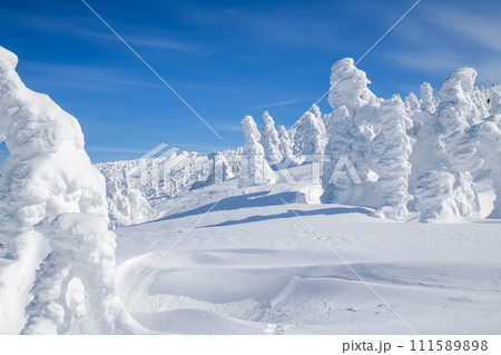 遠く森吉神社が望める快晴の森吉山樹氷群 秋田県 遠く森吉神社が望める快晴の森吉山樹氷群 秋田県 111589898