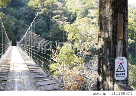 瀞峡 「山彦橋」/ 奈良県・三重県・和歌山県【国特別名勝・吉野熊野国立公園】 瀞峡 「山彦橋」/ 奈良県・三重県・和歌山県【国特別名勝・吉野熊野国立公園】 111589973
