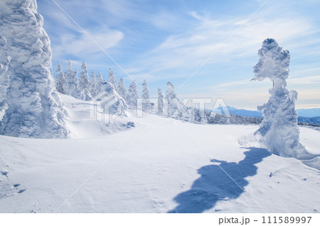 遠く秋田駒ヶ岳が望める快晴の森吉山樹氷群　秋田県 111589997