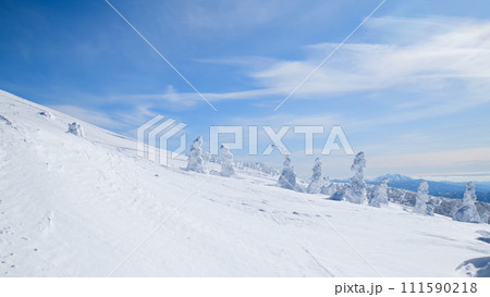 遠く秋田駒ヶ岳が望める快晴の森吉山樹氷と雪原　秋田県 111590218