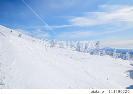 遠く秋田駒ヶ岳が望める快晴の森吉山樹氷と雪原　秋田県 111590220