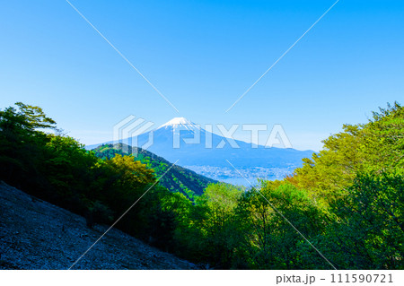 御坂峠から望む富士山(5月) 御坂峠から望む富士山(5月) 111590721