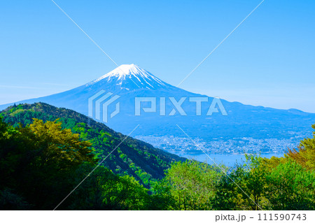 御坂峠から望む富士山(5月) 御坂峠から望む富士山(5月) 111590743