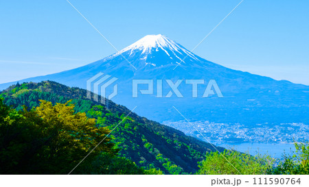 御坂峠から望む富士山（5月） 111590764