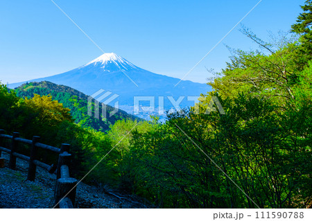 御坂峠から望む富士山（5月） 111590788