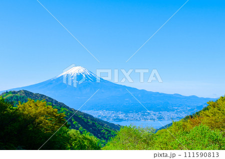 御坂峠から望む富士山(5月) 御坂峠から望む富士山(5月) 111590813