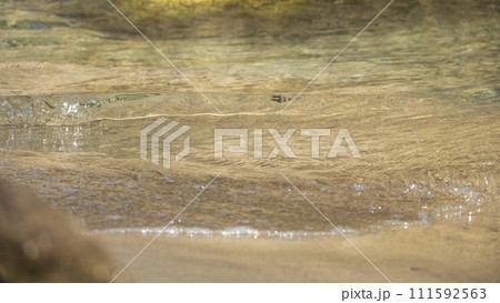 岩美ブルーの浜辺（東浜海水浴場付近） 111592563