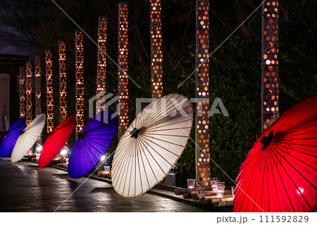 熊本県山鹿市百華百彩2024 111592829