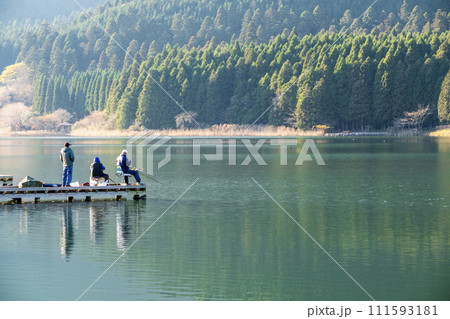 静岡県富士宮市 田貫湖の風景 静岡県富士宮市 田貫湖の風景 111593181