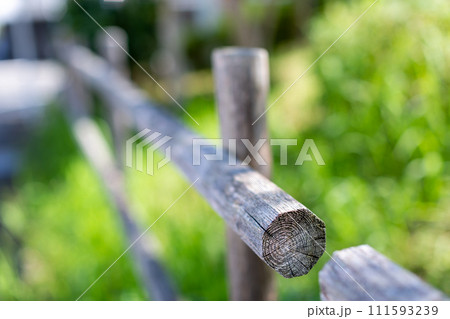 公園の柵と樹木 公園の柵と樹木 111593239