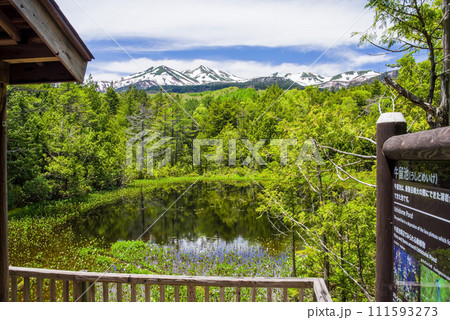 新緑シーズンの乗鞍高原「牛留池」 111593273