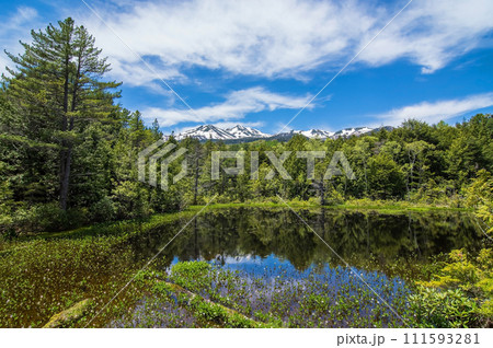 新緑シーズンの乗鞍高原「牛留池」 111593281