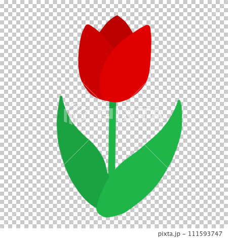 Tulip (red) 111593747