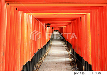 京都 稲荷神社総本宮 伏見稲荷大社千本鳥居 京都 稲荷神社総本宮 伏見稲荷大社千本鳥居 111593835