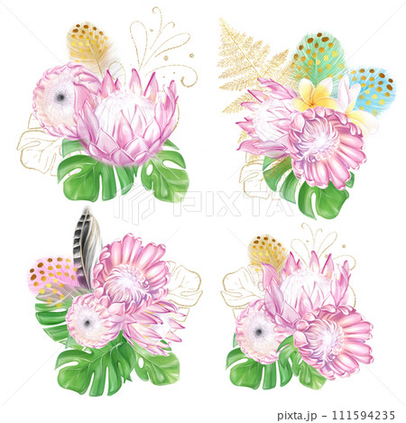 Set of watercolor tropical bouquets of pink protea, monstera and feathers. Romantic flowers. exotic design. luxury decor Set of watercolor tropical bouquets of pink protea, monstera and feathers. Romantic flowers. exotic design. luxury decor 111594235