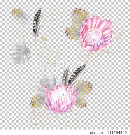 A set of watercolor tropical bouquets of pink protea, golden monstera and black feathers. Romantic flowers. exotic design. luxury clipart. 111594249