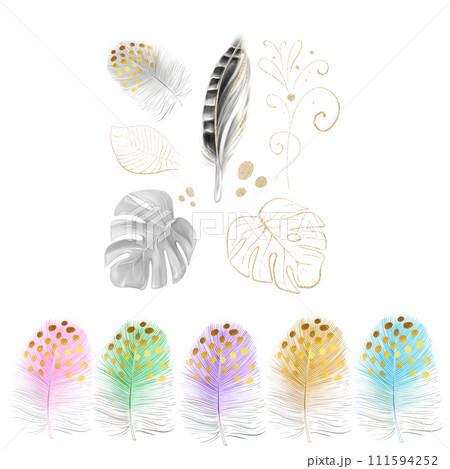Watercolor clipart with colorful feathers, pheasant feather, golden monstera leaf. Tropical set, romantic design. Luxurious design of invitations. 111594252