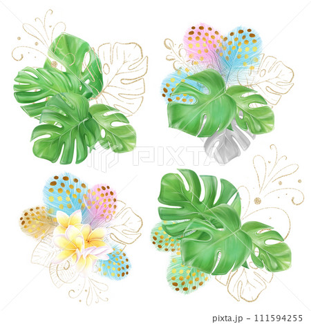 Set of watercolor illustrations with bouquets of monstera, tropical leaves. Multicolored feathers and frangipani. Hawaiian design. exotic clipart. Set of watercolor illustrations with bouquets of monstera, tropical leaves. Multicolored feathers and frangipani. Hawaiian design. exotic clipart. 111594255