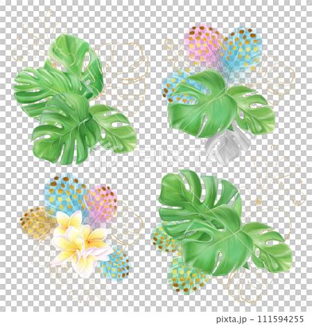 Set of watercolor illustrations with bouquets of monstera, tropical leaves. Multicolored feathers and frangipani. Hawaiian design. exotic clipart. Set of watercolor illustrations with bouquets of monstera, tropical leaves. Multicolored feathers and frangipani. Hawaiian design. exotic clipart. 111594255