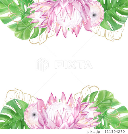 Tropical frame, banner, template. Monstera leaves, protea pink flowers, exotic plants. Template for design Tropical frame, banner, template. Monstera leaves, protea pink flowers, exotic plants. Template for design 111594270
