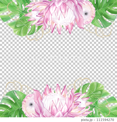 Tropical frame, banner, template. Monstera leaves, protea pink flowers, exotic plants. Template for design Tropical frame, banner, template. Monstera leaves, protea pink flowers, exotic plants. Template for design 111594270